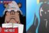 Nikyu Nikyu no Mi - One Piece