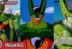 Perubahan Cell - Dragon Ball