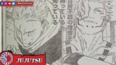 Yuji vs Sukuna Manga Jujutsu Kaisen chapter 248