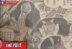 Bajak Laut Raksasa Legendaris - One Piece