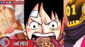 Kelompok Besar - One Piece