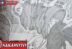 Spoiler Sakamoto Days Chapter 164 Raws