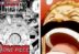 Spoiler Manga One Piece 1116