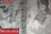 Spoiler Raw Manga Blue Lock Chapter 263 Sub Indo