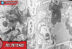 Spoiler Raw Manga Jujutsu Kaisen Chapter 260 Sub Indo