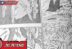 Spoiler Raw Manga Jujutsu Kaisen Chapter 260 Sub Indo Sukuna Mei Mei