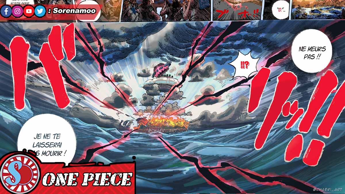 Haki Joyboy Manga One Piece