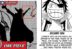 Joy Boy Manga One Piece