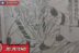 Sukuna Raw Manga Jujutsu Kaisen 266