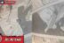 Yuta Maki Kinji Kirara Raw Manga Jujutsu Kaisen Chapter 271 Sub Indo
