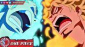 Zoro Sanji Anime One Piece