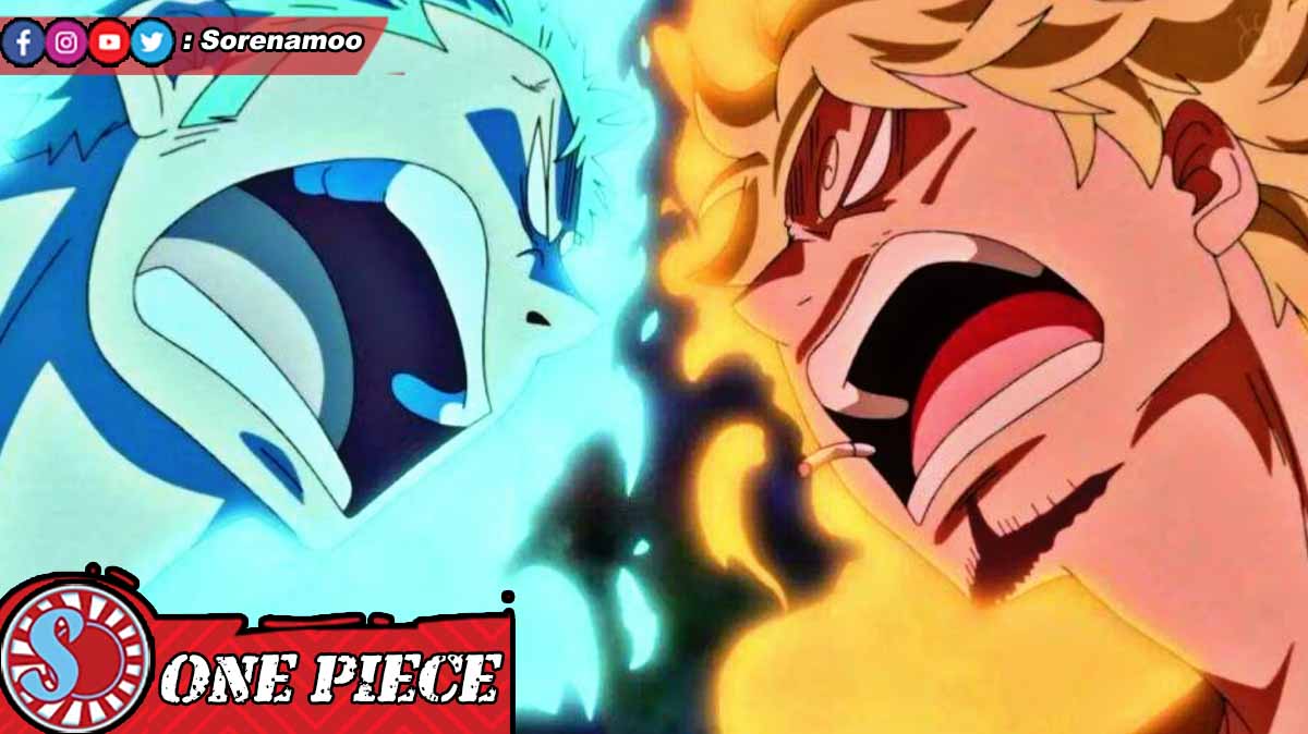 Zoro Sanji Anime One Piece