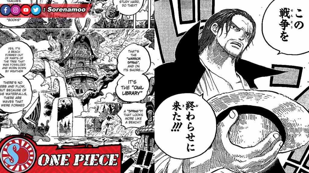 Owl Library Shanks One Piece Manga