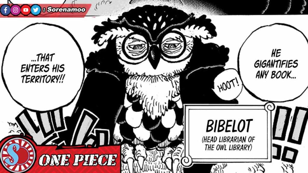 Bibelot Manga One Piece