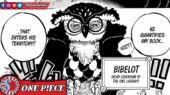 Bibelot Manga One Piece