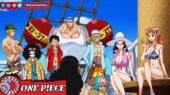 Straw Hat Pirates Anime One Piece