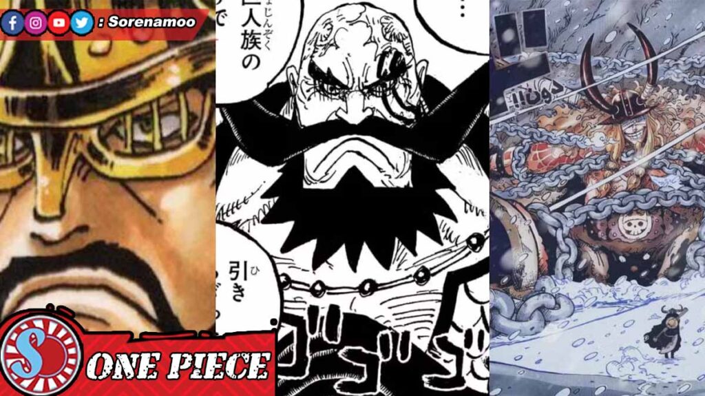 Hajrudin Harald Loki Manga One Piece