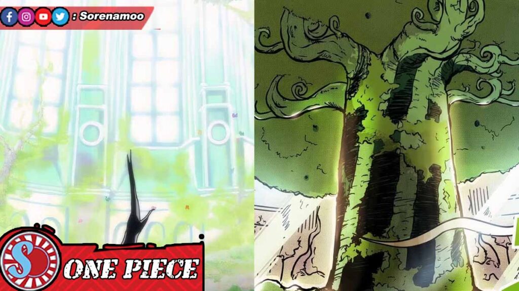 Imu and Devil Fruit Tree One Piece