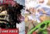 Loki vs Zoro and Luffy Manga One Piece