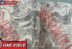 Raw Manga One Piece 1142 Sub Indo