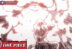 Saturn vs Bonney Anime One Piece Episode 1129