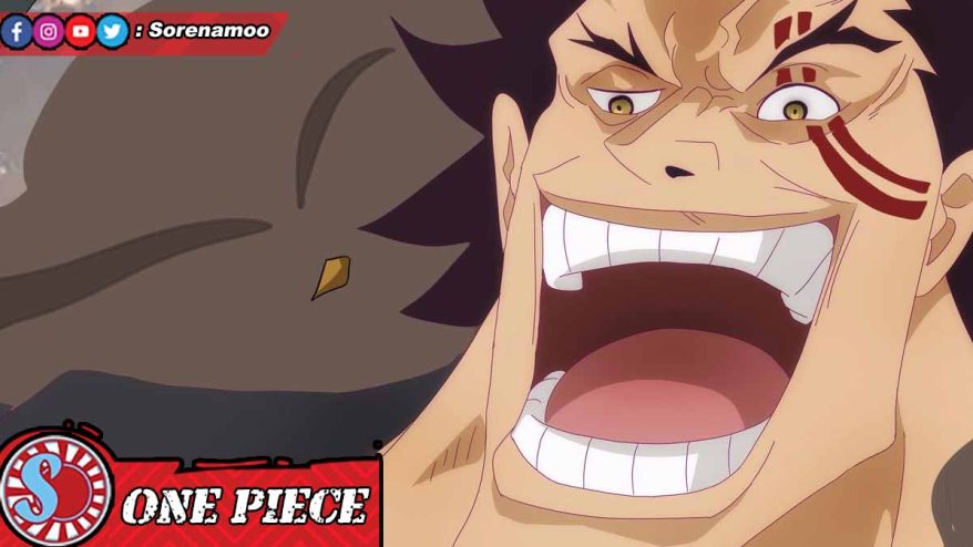Harald One Piece Fan Color