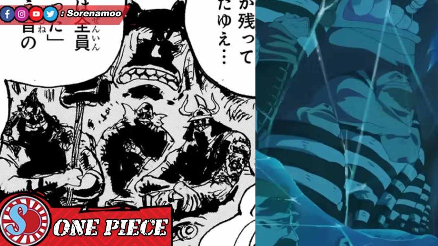Galleila One Piece