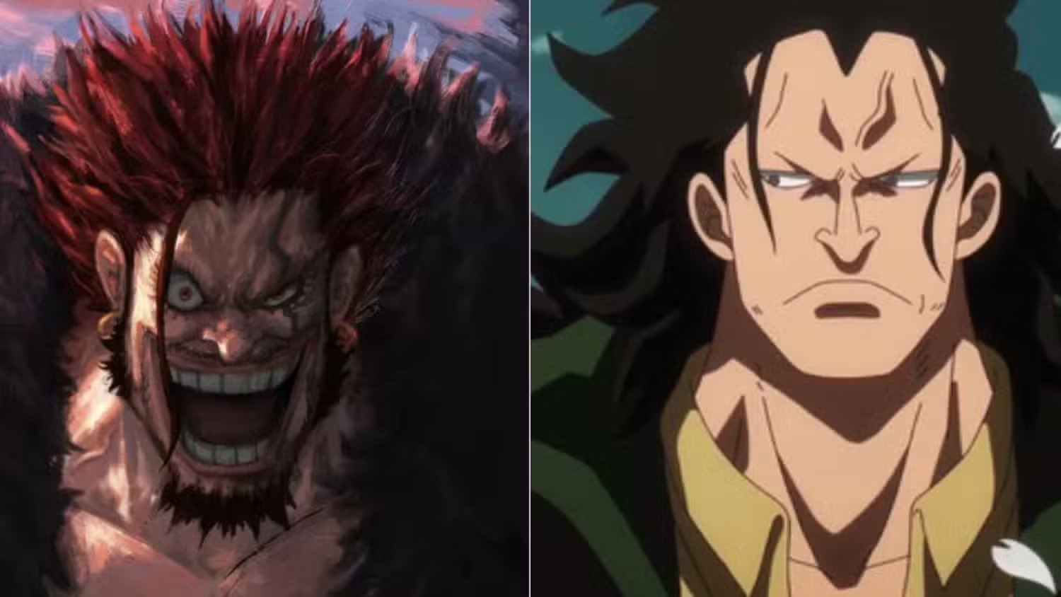 Rocks D Xebec and Monkey D Dragon