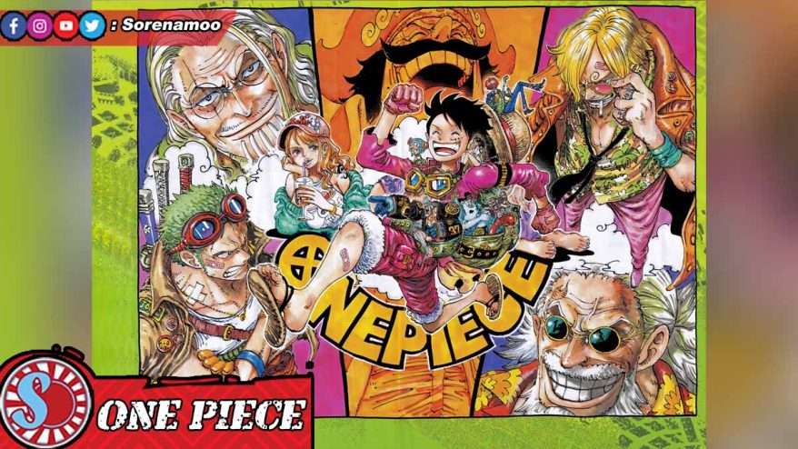Color Spread One Piece 1156
