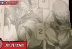 Maru Raw Manga Jujutsu Kaisen modulo Chapter 6