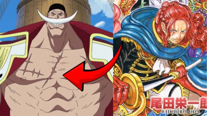 Whitebeard and Shamrock One Piece