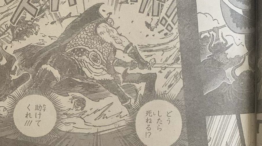 Harald One Piece Manga 1169